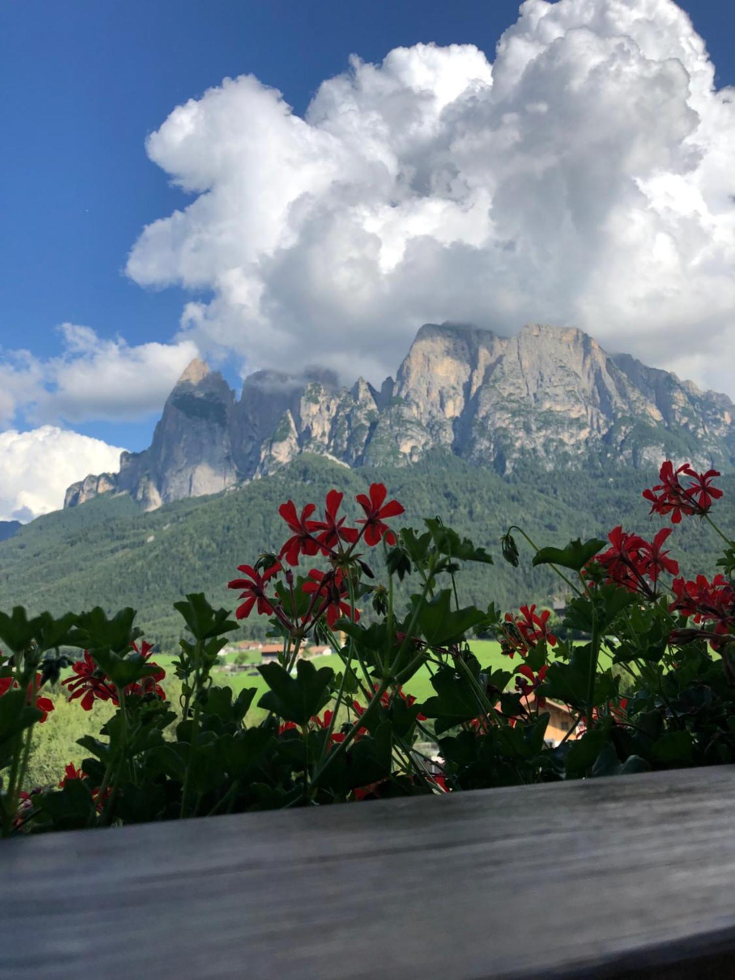 Mesnerhof My Paradise Fie allo Sciliar Exterior photo